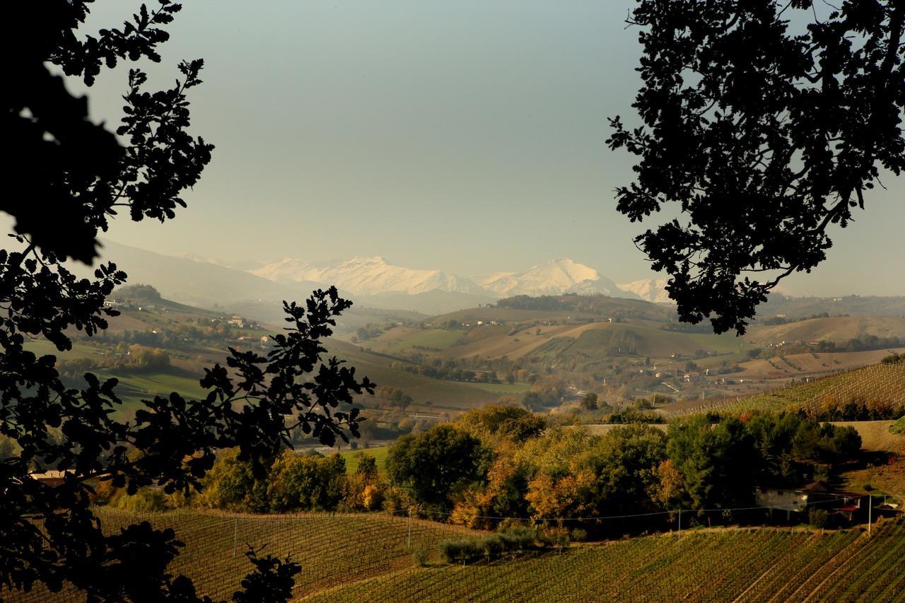 La Casa In Campagna Bed & Breakfast Cossignano Exterior photo
