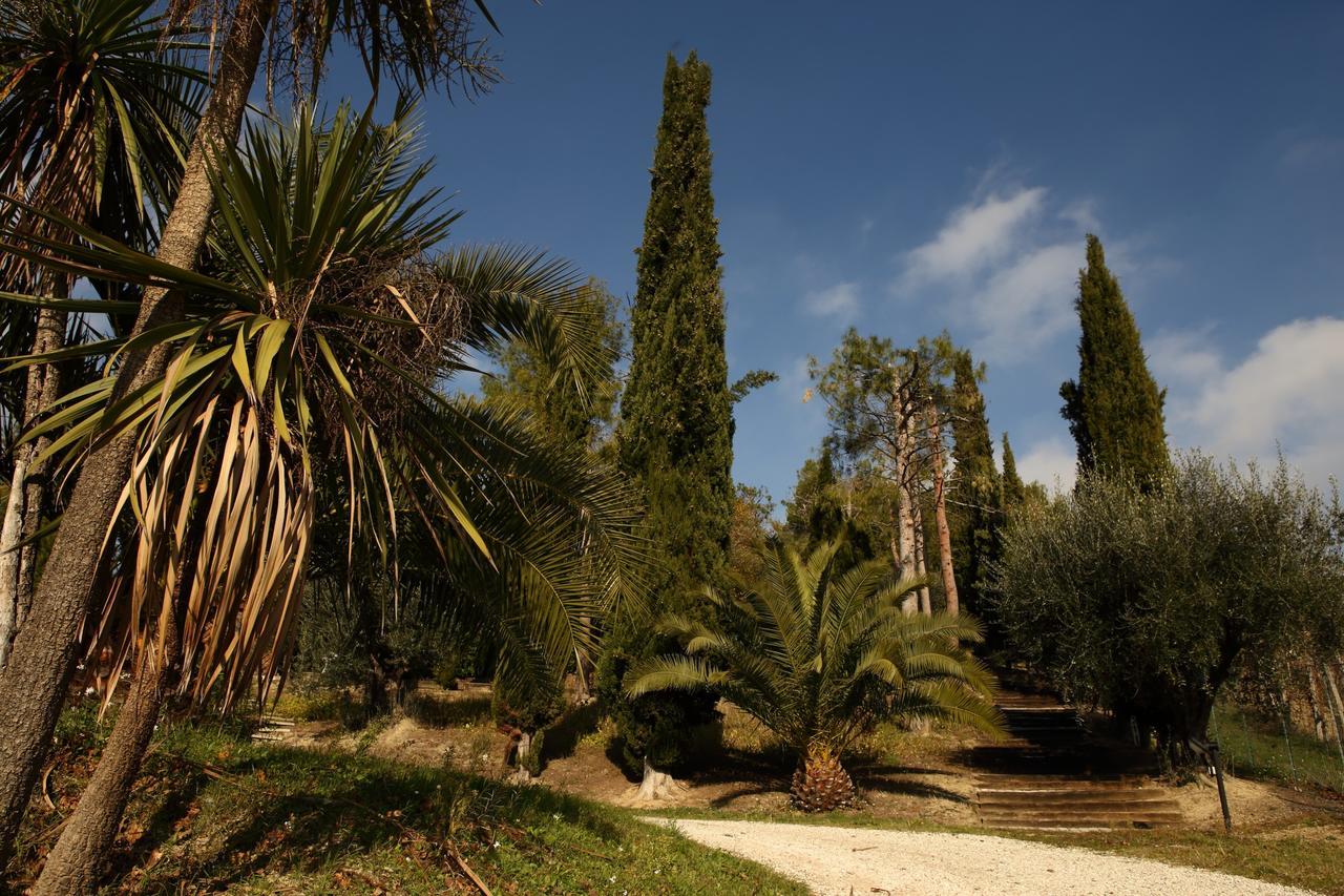 La Casa In Campagna Bed & Breakfast Cossignano Exterior photo