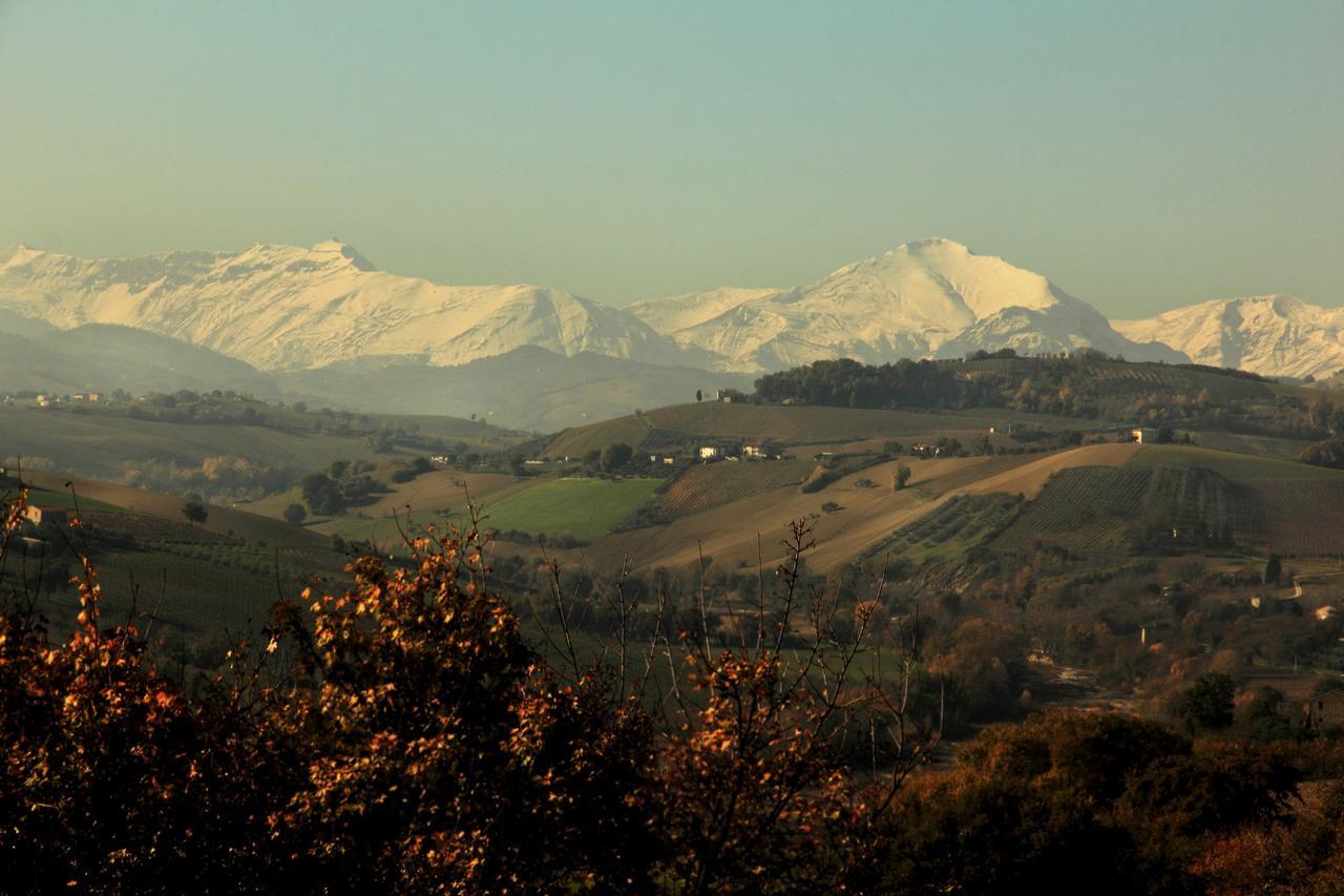 La Casa In Campagna Bed & Breakfast Cossignano Exterior photo