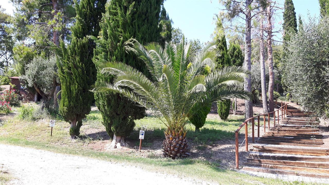 La Casa In Campagna Bed & Breakfast Cossignano Exterior photo