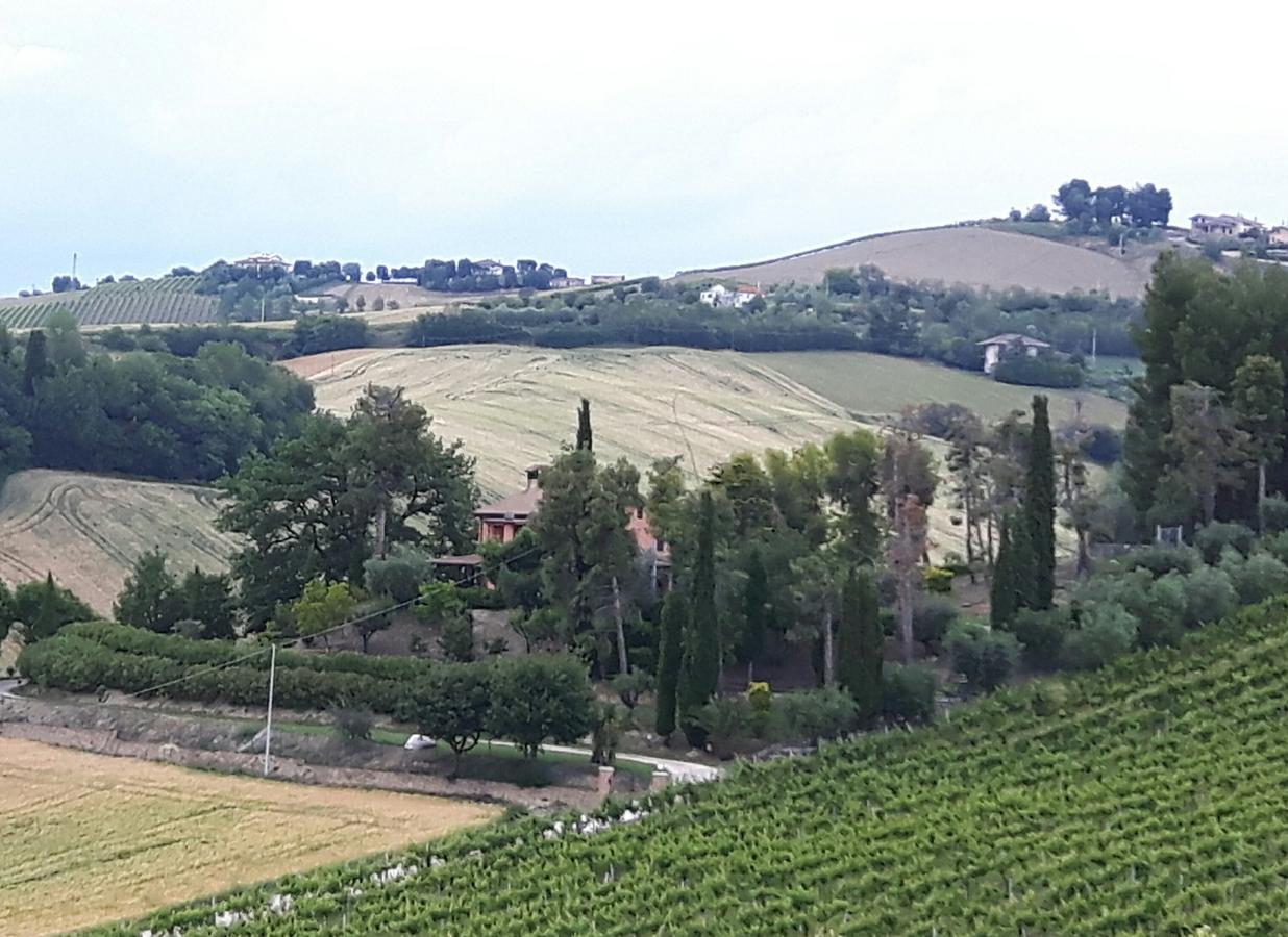 La Casa In Campagna Bed & Breakfast Cossignano Exterior photo