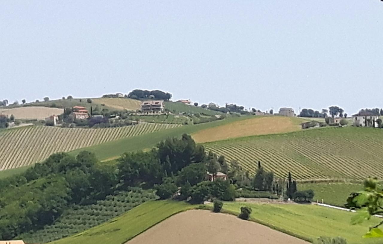 La Casa In Campagna Bed & Breakfast Cossignano Exterior photo